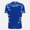 Camisas de calentamiento para adultos del Auxerre 2025/26 Camisas de calentamiento para adultos del Auxerre 2025/26