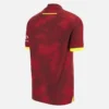 Camisas de críquet de ODI West Indies 2025/26 Camisas de críquet de ODI West Indies 2025/26