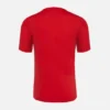 Camisas de entrenamiento para adultos Pallacanestro Reggiana 2025/26 Camisas de entrenamiento para adultos Pallacanestro Reggiana 2025/26
