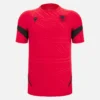 Camisas de entrenamiento rojas para adultos de la selección nacional de Albania FSHF 2026/27 Camisas de entrenamiento rojas para adultos de la selección nacional de Albania FSHF 2026/27