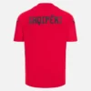 Camisas de entrenamiento rojas para adultos de la selección nacional de Albania FSHF 2026/27 Camisas de entrenamiento rojas para adultos de la selección nacional de Albania FSHF 2026/27