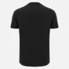 Camisas de la línea para aficionados de Italia Rugby 2025/26 para adultos Camisas de la línea para aficionados de Italia Rugby 2025/26 para adultos