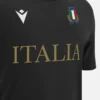 Camisas de la línea para aficionados de Italia Rugby 2025/26 para adultos Camisas de la línea para aficionados de Italia Rugby 2025/26 para adultos