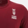 Camisas de viaje para adultos Zebre Parma 2025/26