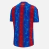 Camisas locales de la final de la FA Cup del Crystal Palace FC Camisas locales de la final de la FA Cup del Crystal Palace FC
