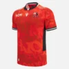 Camisas réplica de poliéster para adultos Lions Rugby 2025/26
