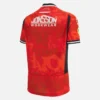 Camisas réplica de poliéster para adultos Lions Rugby 2025/26