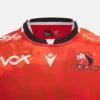 Camisas réplica de poliéster para adultos Lions Rugby 2025/26