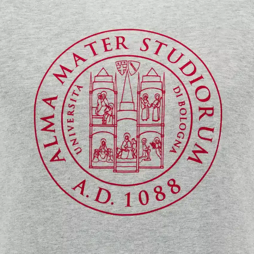 Camiseta de algodón para adultos de la colección Unibo en gris jaspeado Camiseta de algodón para adultos de la colección Unibo en gris jaspeado