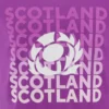 Camiseta informal púrpura Scottish Rugby 2025/26 Camiseta informal púrpura Scottish Rugby 2025/26