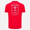 Camiseta roja de aficionado del Welsh Rugby 2025/26 Camiseta roja de aficionado del Welsh Rugby 2025/26