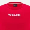 Camiseta roja de aficionado del Welsh Rugby 2025/26 Camiseta roja de aficionado del Welsh Rugby 2025/26