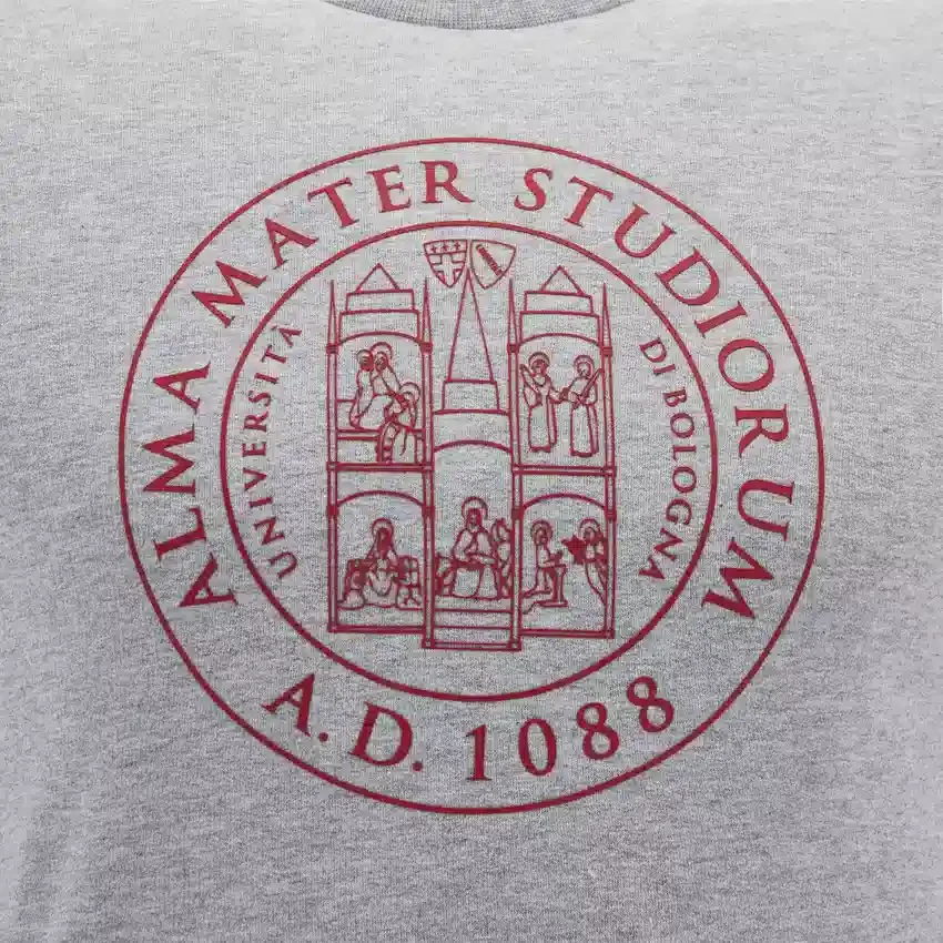 Colección Unibo Sudadera de cuello redondo sin cepillar en gris jaspeado para Adultos Colección Unibo Sudadera de cuello redondo sin cepillar en gris jaspeado para Adultos