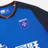 Equipación de tercer partido para adultos del Auxerre 2025/26