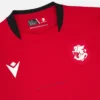 Equipación de tercer partido para jóvenes de la Federación de Fútbol de Georgia 2025/26