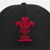 Gorra de béisbol Welsh Rugby 2025/26