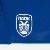 Pantalones Cortos de cuarto partido para adultos del PAOK FC 2025/26 Pantalones Cortos de cuarto partido para adultos del PAOK FC 2025/26