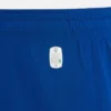 Pantalones Cortos de cuarto partido para adultos del PAOK FC 2025/26 Pantalones Cortos de cuarto partido para adultos del PAOK FC 2025/26