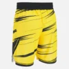 Pantalones Cortos de entrenamiento para adultos Ludwisburg 2025/26 Pantalones Cortos de entrenamiento para adultos Ludwisburg 2025/26