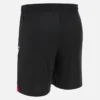 Pantalones Cortos de visitante para adultos de la Federación Georgiana de Fútbol 2025/26 Pantalones Cortos de visitante para adultos de la Federación Georgiana de Fútbol 2025/26