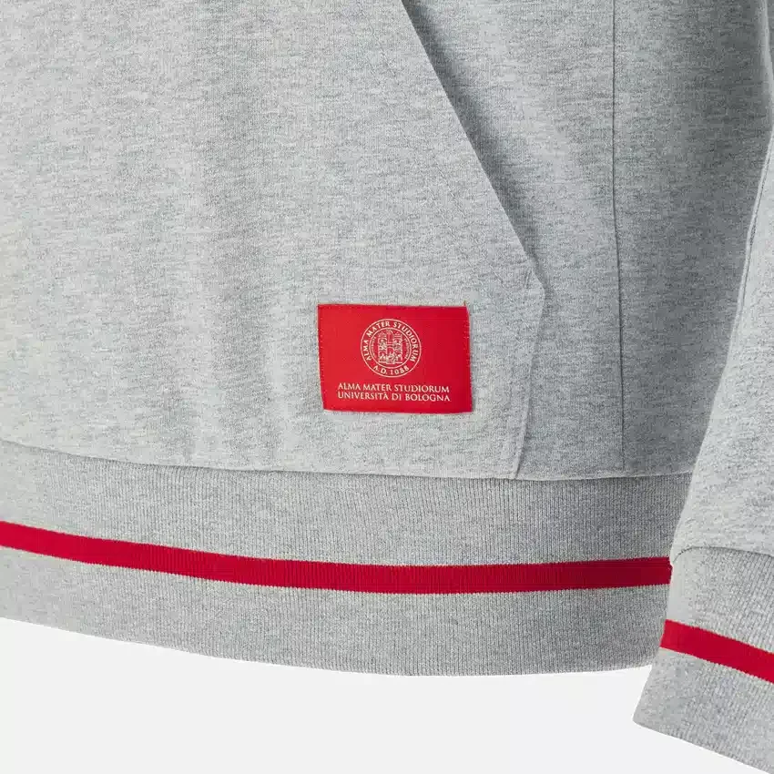 Sudadera con capucha cepillada gris jaspeado de la colección Unibo para adultos Sudadera con capucha cepillada gris jaspeado de la colección Unibo para adultos
