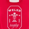 Sudadera con capucha roja para aficionados del Welsh Rugby 2025/26 Sudadera con capucha roja para aficionados del Welsh Rugby 2025/26