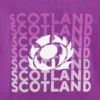 Sudadera informal Scottish Rugby 2025/26